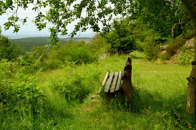 整个飞跃过 整个飞跃过