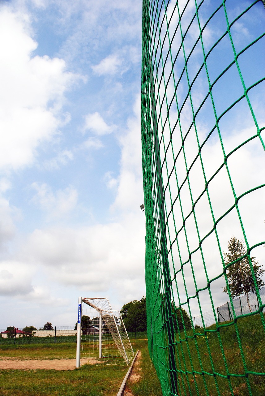 的将来再度 的将来再度