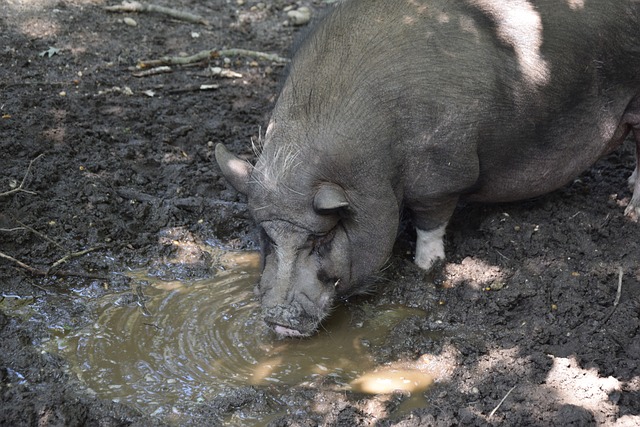【案例传真】学生在校打篮球受伤,学校是否应担责？.