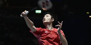 他们的意见 他们的意见