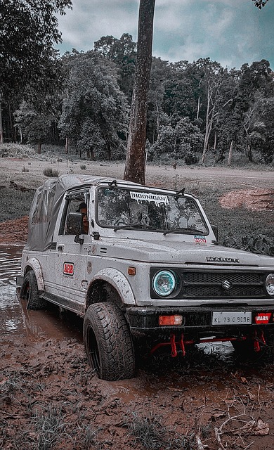 往往直接决 往往直接决