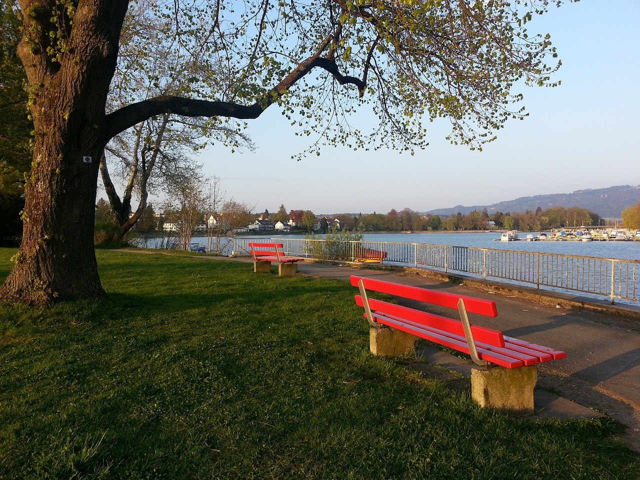 这些顶级球 这些顶级球