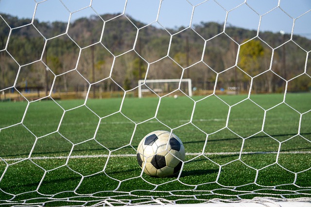 的竞争关系 的竞争关系